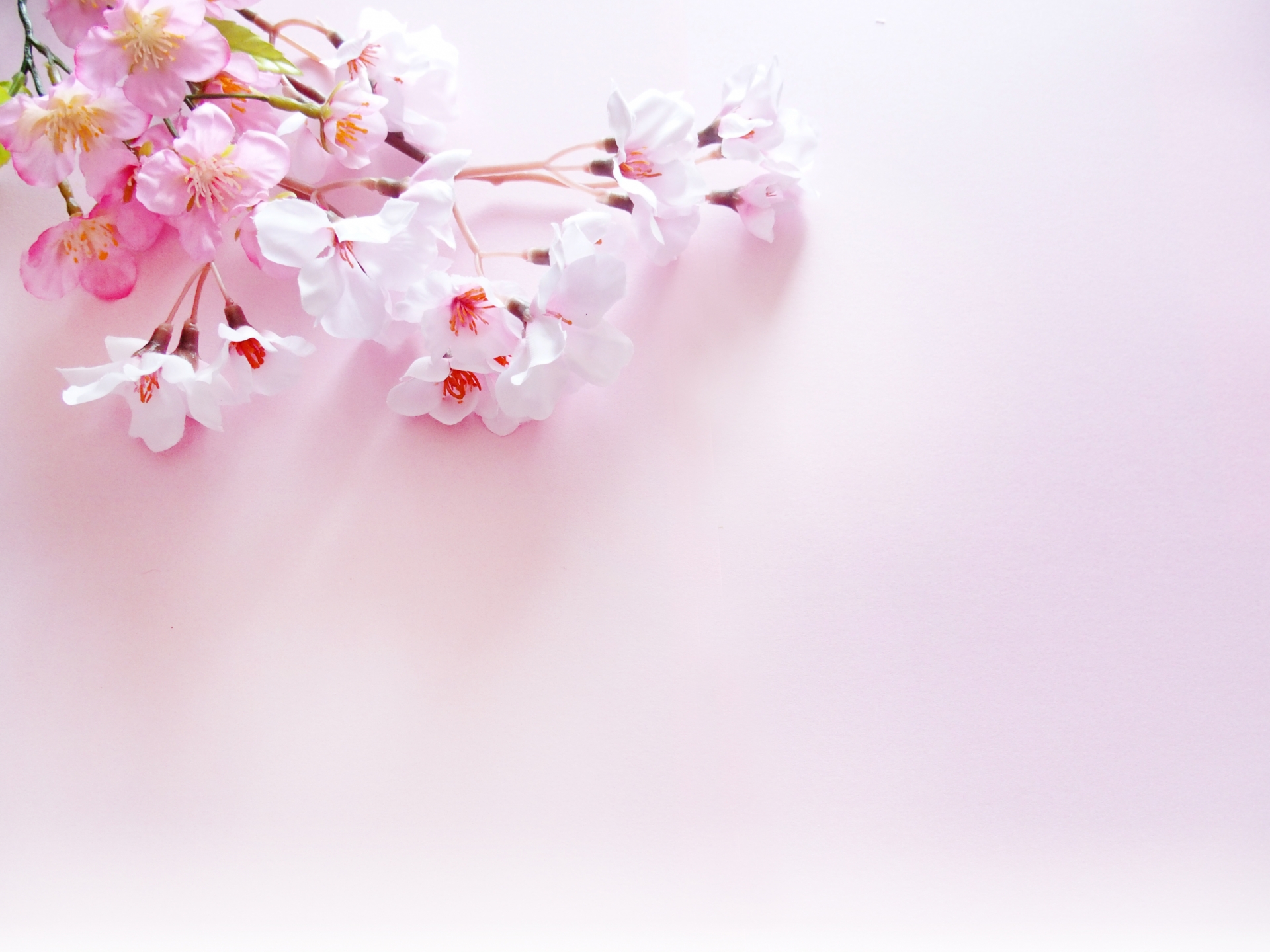 桜の造花は100均がおすすめ 色々な種類とアレンジの方法 Intelivia